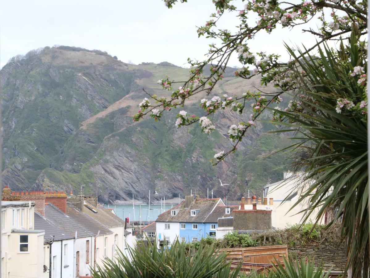 Ferienwohnung 10 Cove View Ilfracombe Exterior foto